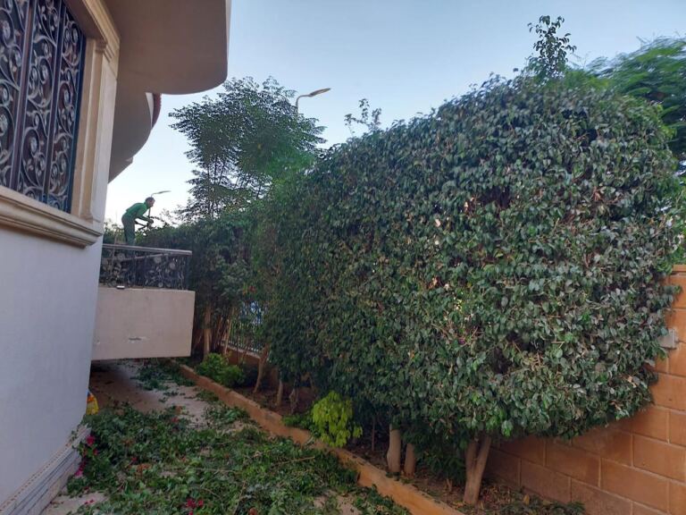 جنوب الاكاديميه